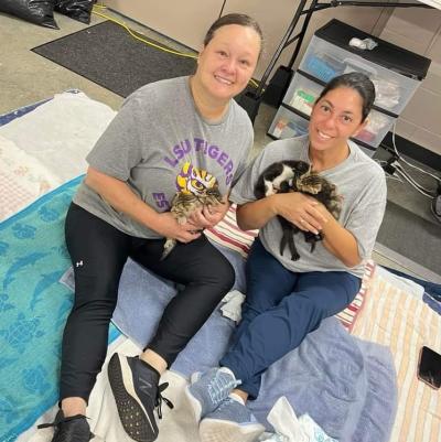 Two people holding a litter of kittens